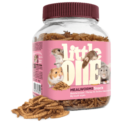 Little One mealworms