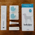 Graviditestest-hunde2
