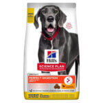Hills-Digestion-Large-breed