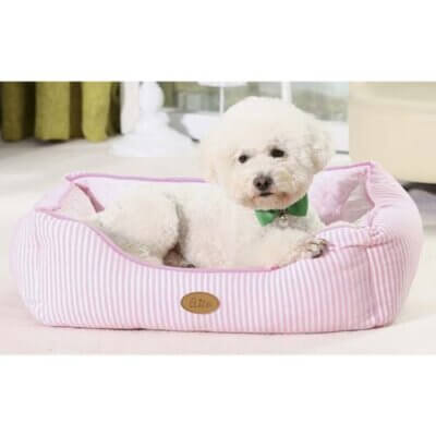 Hundeseng-Candy-Stripe-Rose