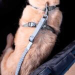 Ibiyaya-No-Shock!-Bungee-line-grå