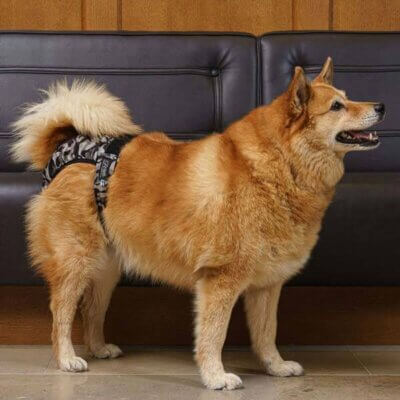 Brenda-Camo1 Brenda-Camo1