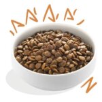 EdgarCooper-Fresh-chicken-hundefoder