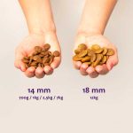 Edgard-Copper-Fresh-Run-Puppy-Duck