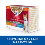 Healthy-Cuisine-mixed