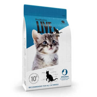 LIVE-kitten-foder