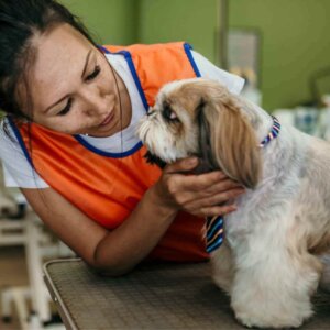 Sådan Renser du øjne på din hund