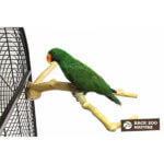 back-zoo-natue-java-multi-perch-premium-large