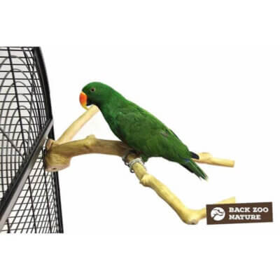back-zoo-natue-java-multi-perch-premium-large
