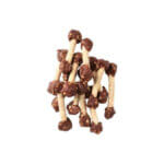 Hapki Lam & Ris Drumbell