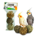 seagrass bolde