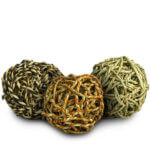 seagrass bolde 2