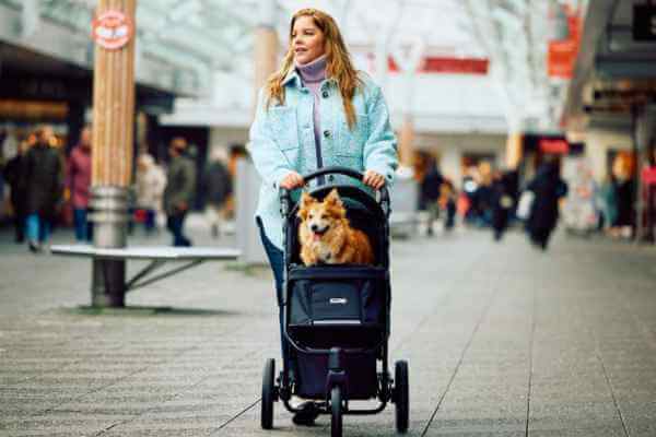 Innopet premium serie med masser af komfort