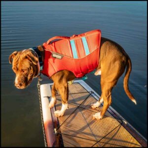 Redningsvest til hund