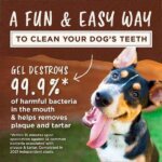 KONG Dental Ball Teeth Cleaning Gel (3) KONG Dental Ball Teeth Cleaning Gel (3)