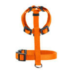 hunter h-sele 1