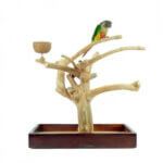 Back-Zoo-Nature-Java-Tree-Playstand-Plateau-Premium-Small