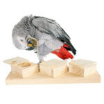 back-zoo-nature-braintrainer-cups