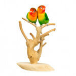 back-zoo-nature-java-playstand-mini