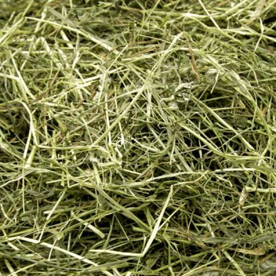 Hubertus-Økologisk-luksus-Hø-2025-5kg-2 Hubertus-Økologisk-luksus-Hø-2025-5kg-2