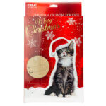 julekalender kat