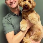 Teddi-Ibens-hundehus