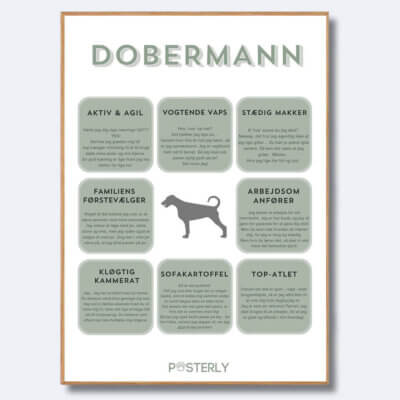 posterly dobermann