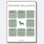 posterly franskbulldog