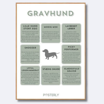posterly gravhund korthåret