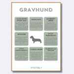 posterly gravhund ruhåret