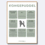 hunde plakat kongepuddel