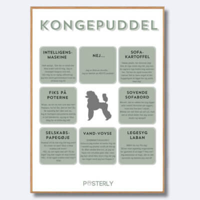 hunde plakat kongepuddel