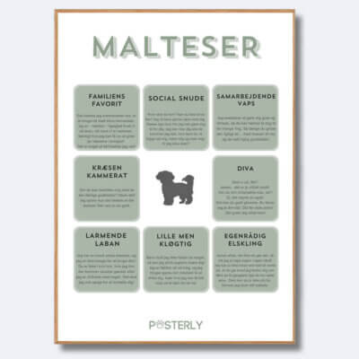 posterly malteser