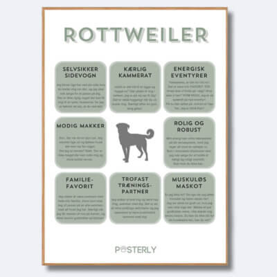 posterly rottweiler