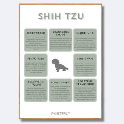 posterly shihtzu korthåret