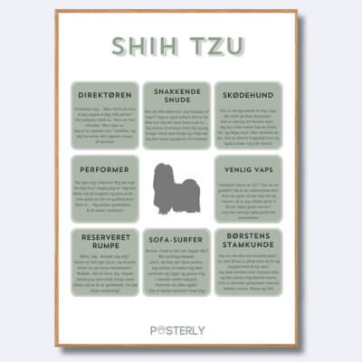 posterly shihtzu langthåret
