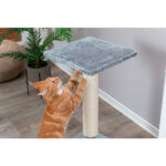 Kradsetræ Baena kat