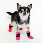 halla hundesko pink 2