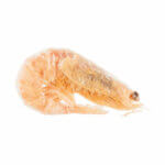 premio reje premio reje