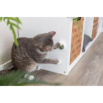 catnip ball with holder 3