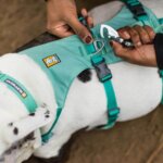 Ruffwear-Flagline-Hundesele-Sage-green-(1)