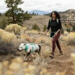 Ruffwear-Flagline-Hundesnor-Sage-Green-(1)