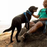 Ruffwear-Front-Range-Line-Coastal-Fade-(1)