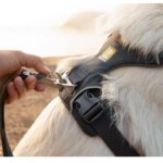 Ruffwear-Front-Range-Sele-Basalt-Gray-(5)