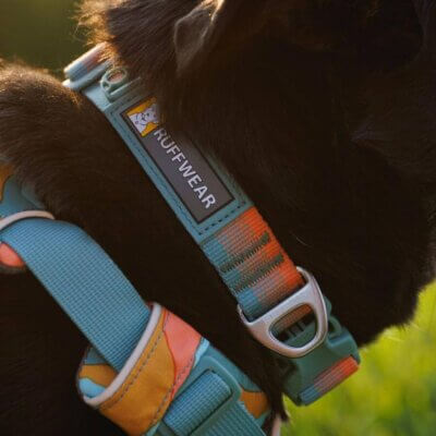 Ruffwear-Front-Range-halsbånd-Sprin-Fade-(2) Ruffwear-Front-Range-halsbånd-Sprin-Fade-(2)