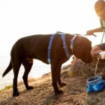 Ruffwear-Front-Range-sele-Coastal-Mountains-(4)