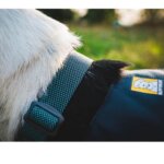 Ruffwear-Hi-&-Light-Halsbånd-Basalt-Gray-(1)