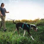 Ruffwear-Hi-&-Light-Hundesele-Basalt-Gray-(1)