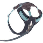 Ruffwear-Hi-&-Light-Hundesele-Basalt-Gray-(2)