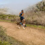Ruffwear-Hi-&-Light-Hundesele-Blue-Dusk-(1)
